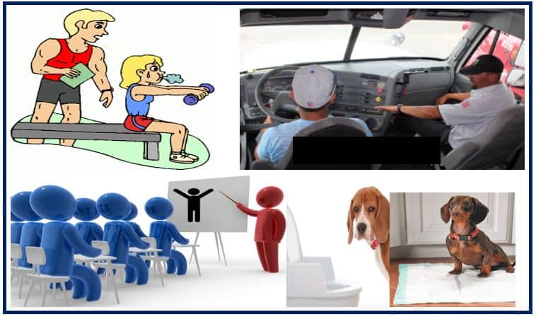 What is training? Definition and examples