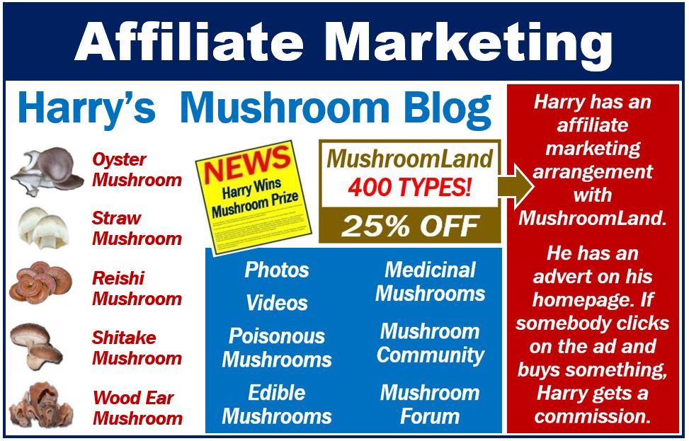 Affiliate Marketing - Image 1