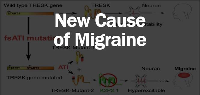 Migraines article - thumbnail