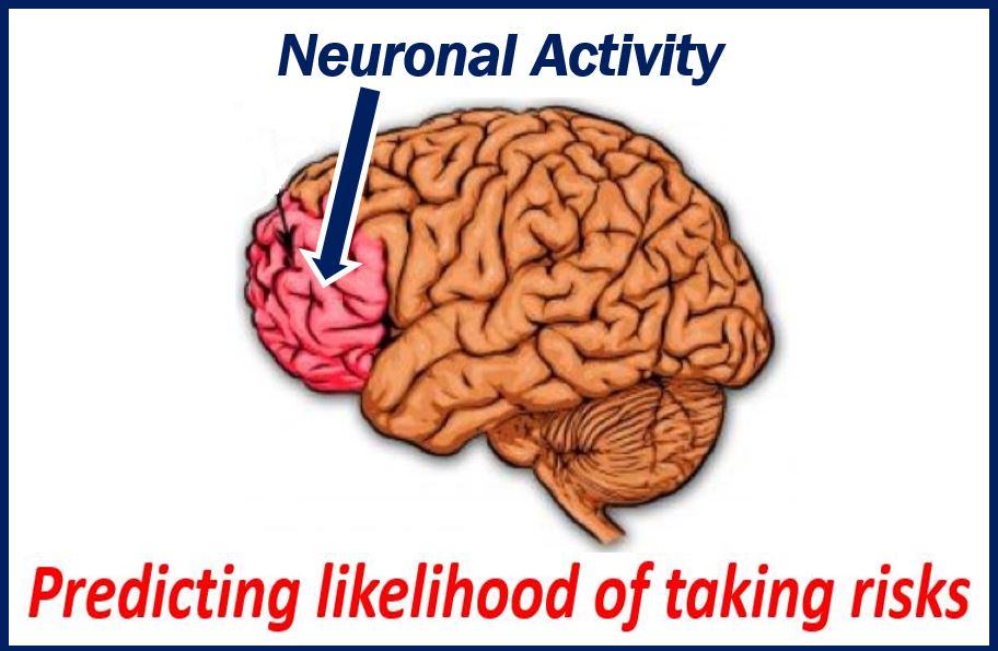 Neuronal Activity thumbnail