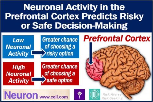 Neuronal activity and predicting risky decision-making