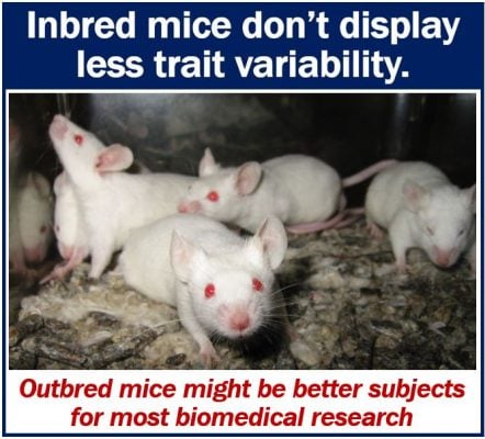 Outbred vs inbred mice for biomedical research
