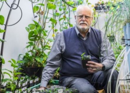 Prof. Strand holding a genetically modified houseplant