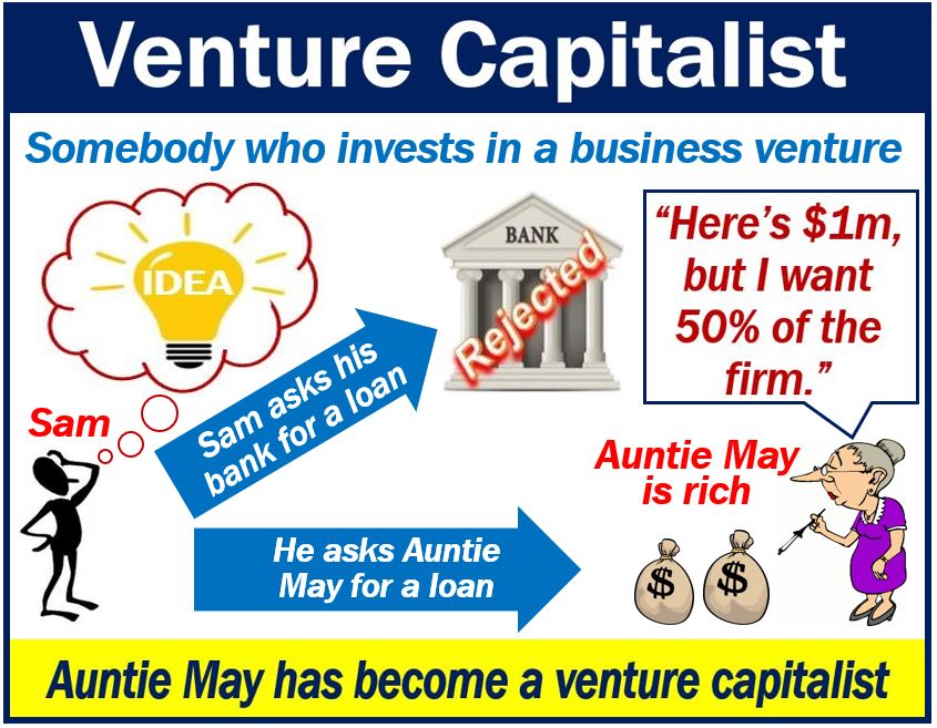 venture definition economics