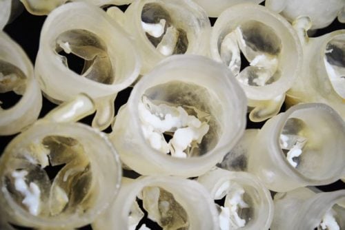 3D Printing heart valves article - image 1