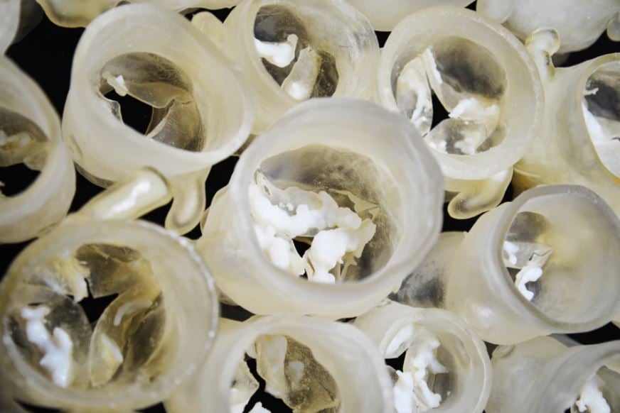 3D Printing heart valves article - image 1