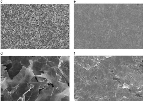 Graphene printed electronic article