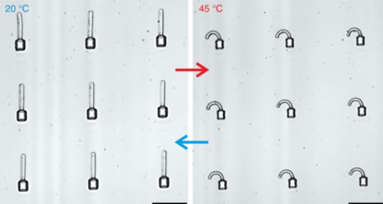 Microstructures article - thumbnail