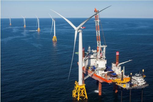 Offshore Wind Farm - Protect Wildlife article