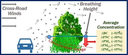 Roadside hedges and trees to reduce car pollution