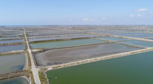 Tainan City Wind Energy Project - Image 1