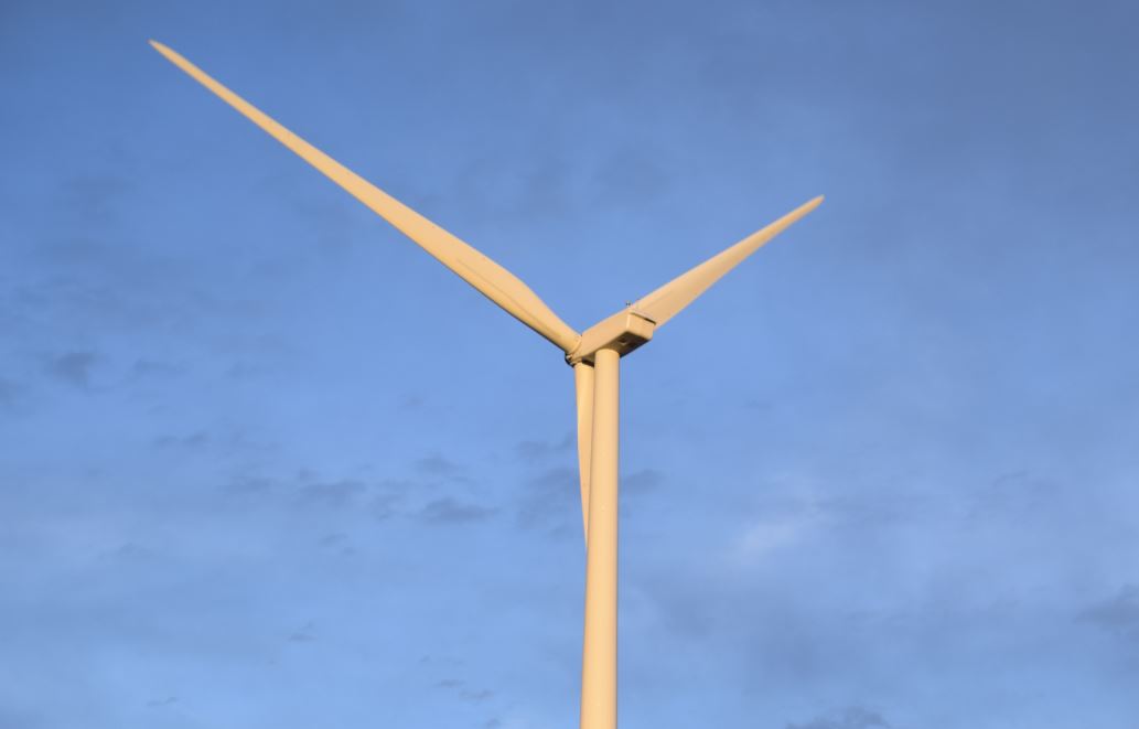 Wind Turbine - article on how to protect wildlife