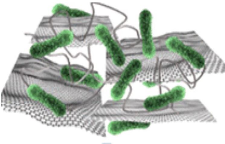 Bacteria helping make water filter article - thumbnail