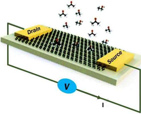 Graphene Biosensor article - image top