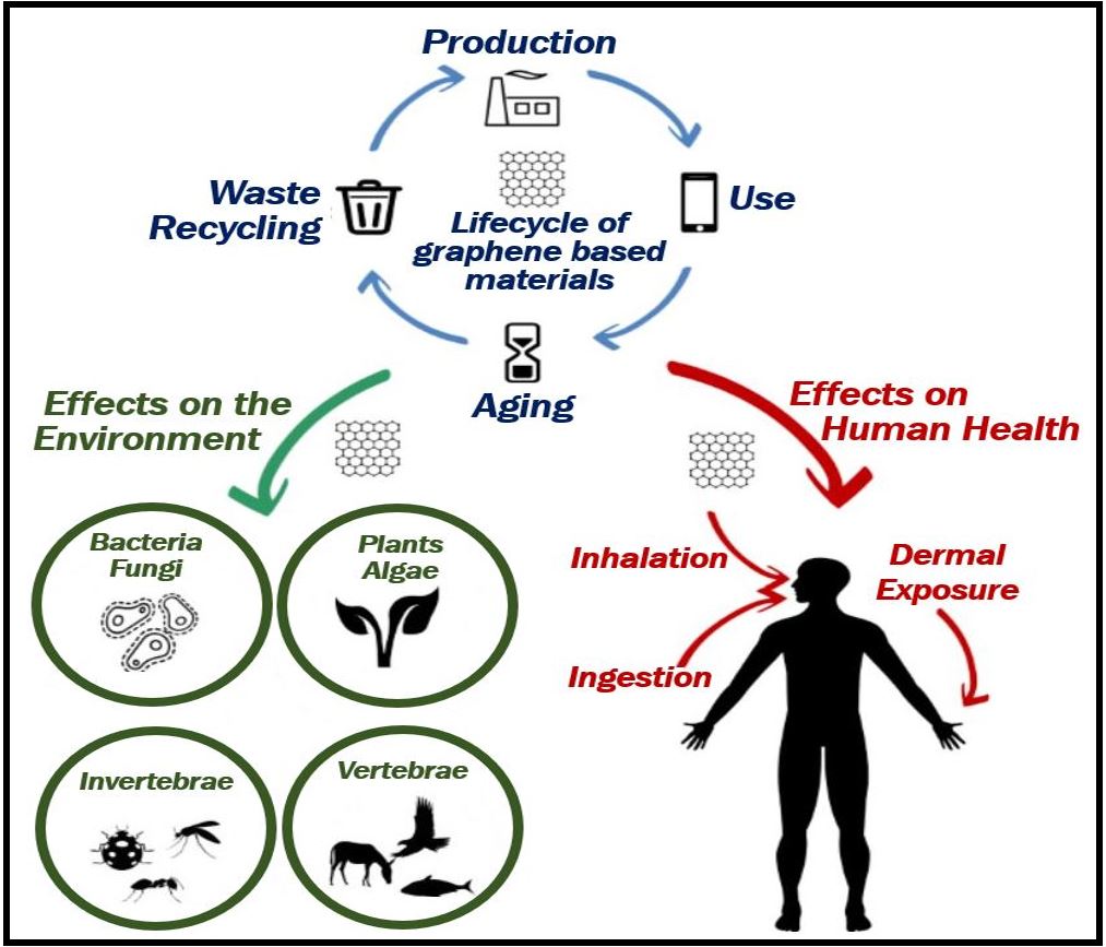 Is graphene safe article