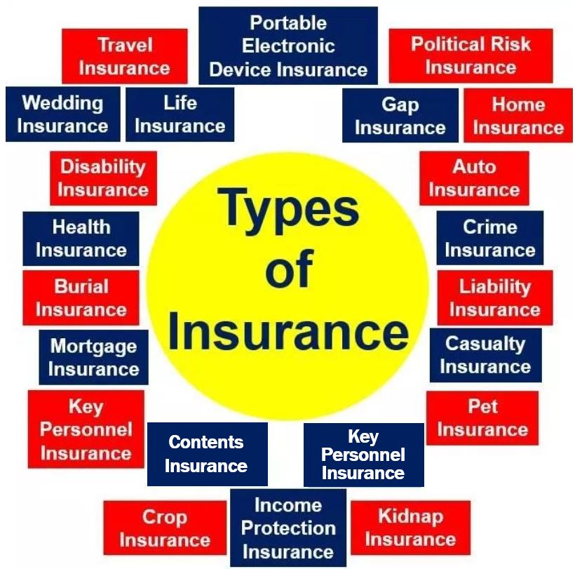 2 Types Of Business Property Insurance - Cuztomize