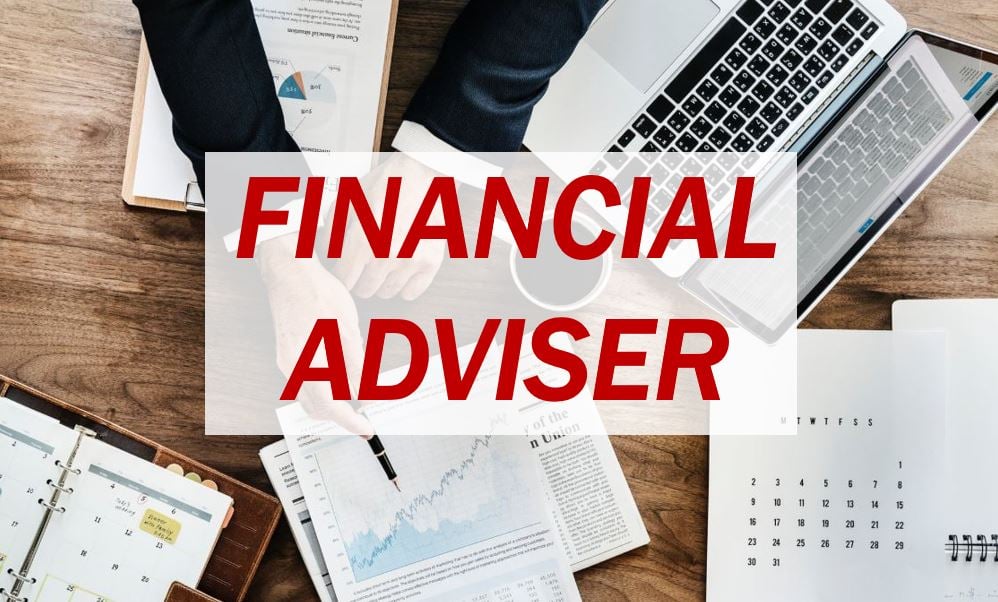 Financial Adviser - image 1