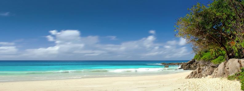 BitMEX Seychelles image 1121