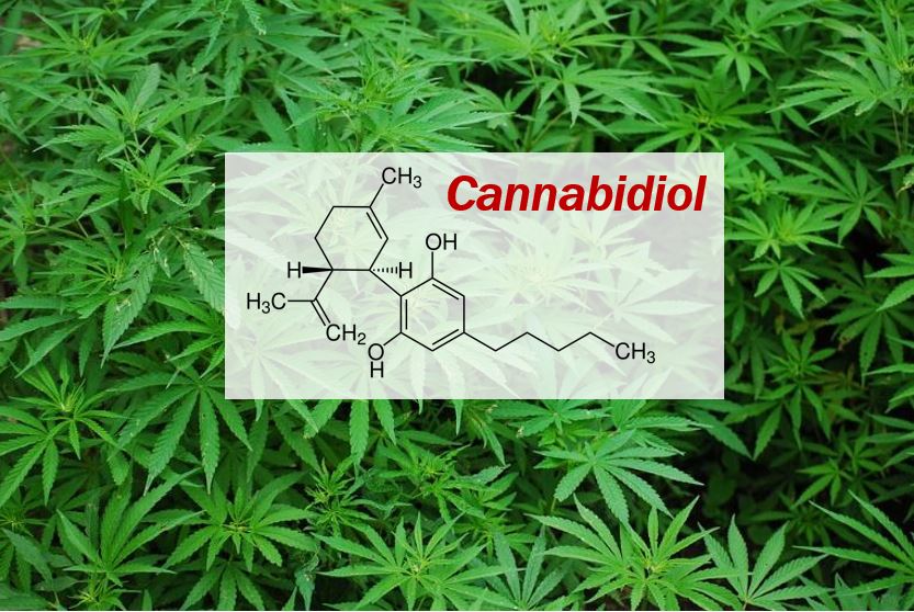 Cannabidiol CBD - article image 33222