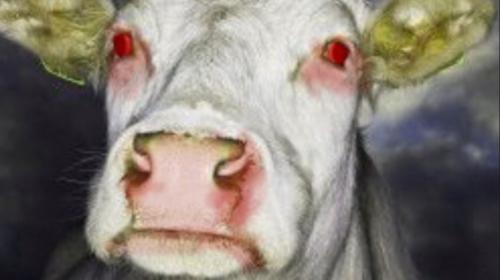 what-is-mad-cow-disease-definition-and-examples-market-business-news