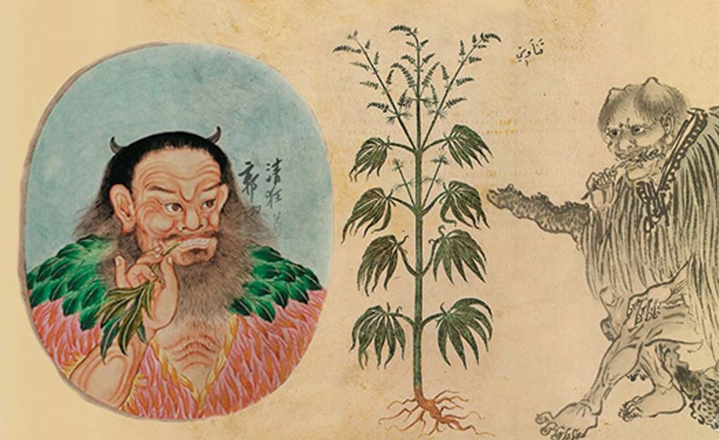 Marijuana has been around for a long time
