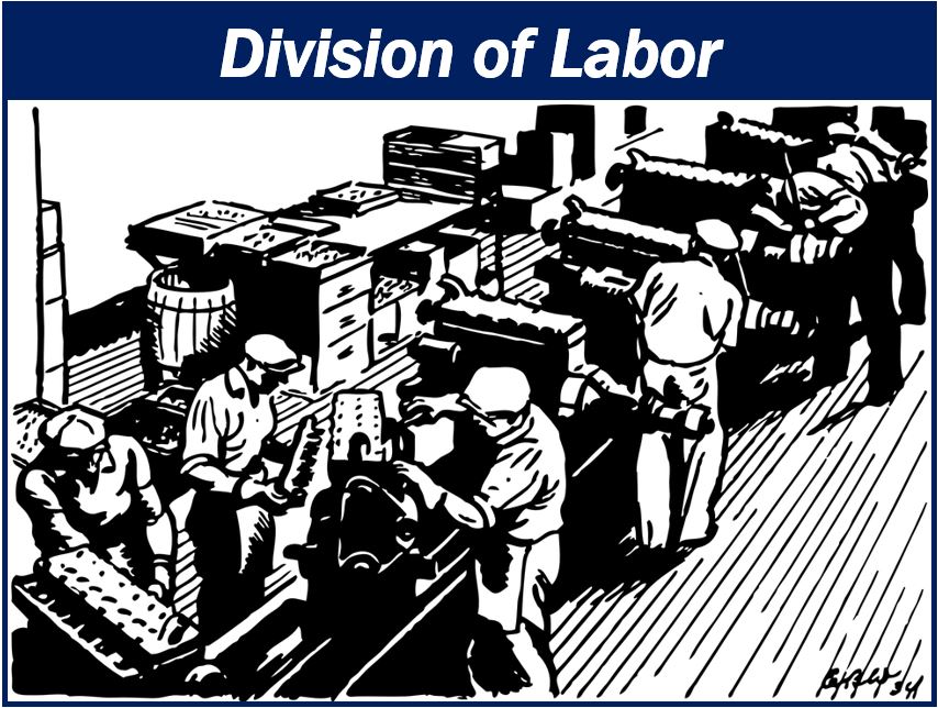 What is division of labor? Definition and examples - Market Business News