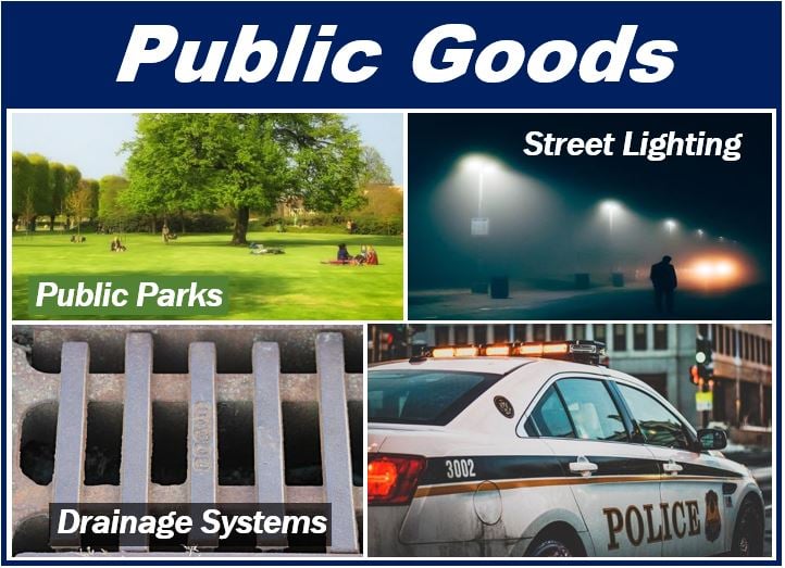 what-are-public-goods-definition-and-meaning