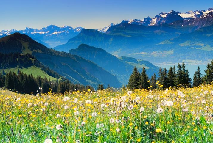 Switzerland tax haven article - image 1