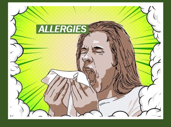 Allergies thumbnail 234999