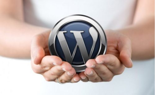 Wordpress image 12