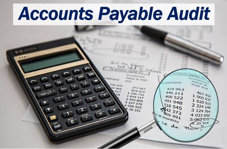 Accounts Payable Audit - image 33333