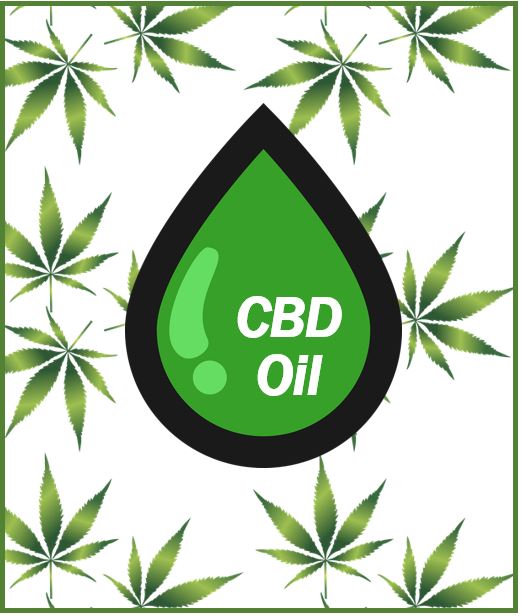 CBD oil article 333