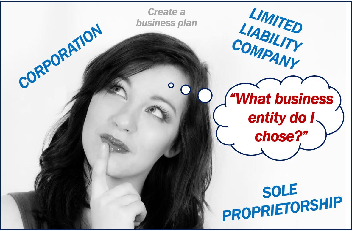 Choosing the right business entity image 8300