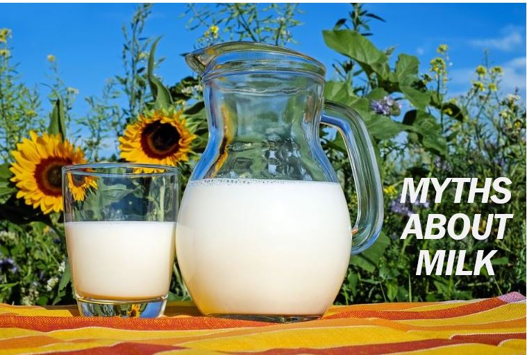 Milk myths