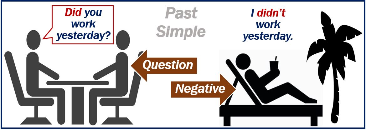 Past Simple Interrogative and Negative