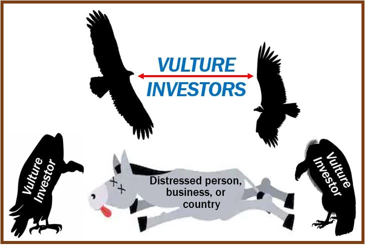 Vulture investor image 43993993