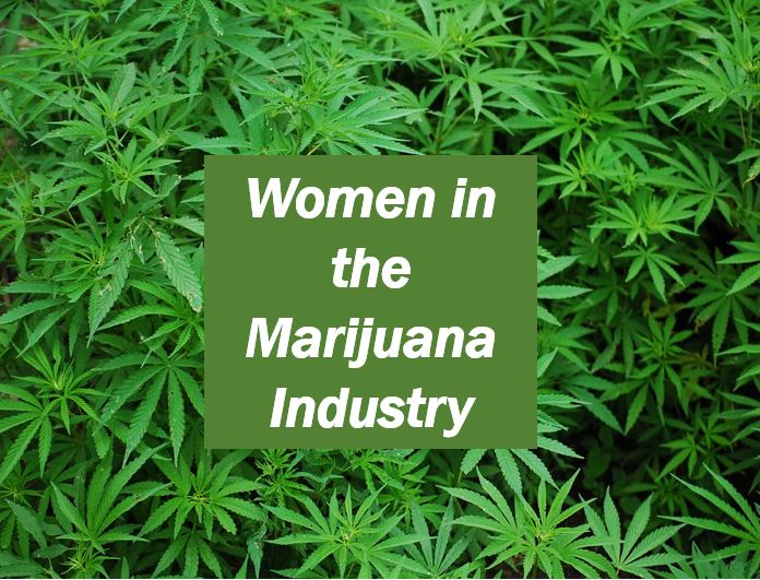 Women in the marijuana industry USA image thumbnail