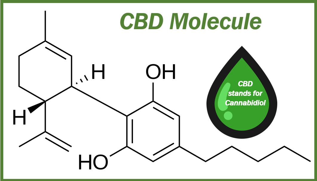 CBD cannabidiol image 3883989383983