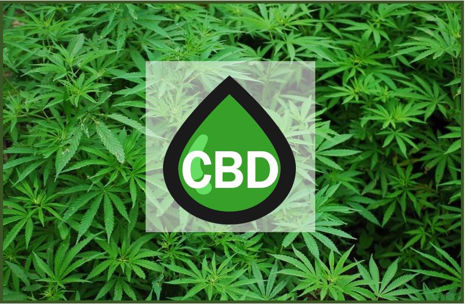 CBD thumbnail image 3883883888