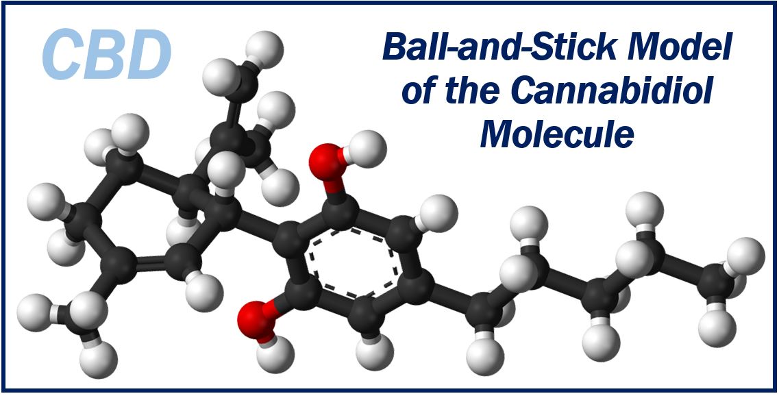 Cannabidiol Molecule CBD image 494949494