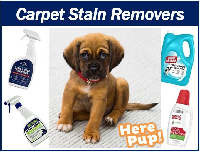Carpet Stain Removers image 898948984948
