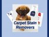 How to Use Carpet Stain Remover?