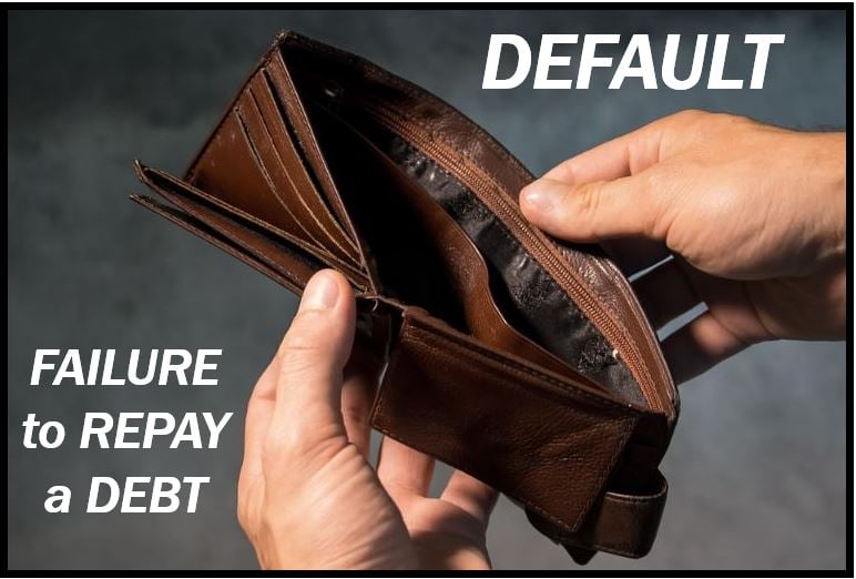 Default image - fail to pay a debt 8498948