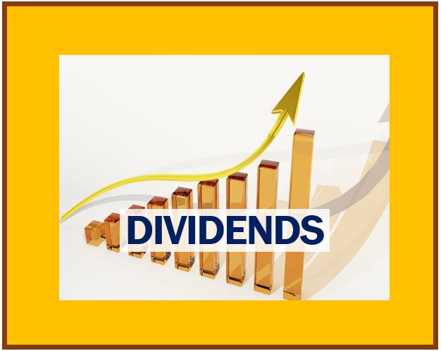 Dividend Meaning