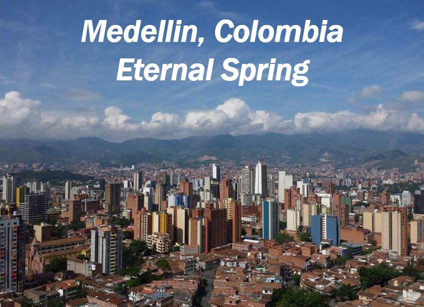 Eternal spring Medellin image 4444