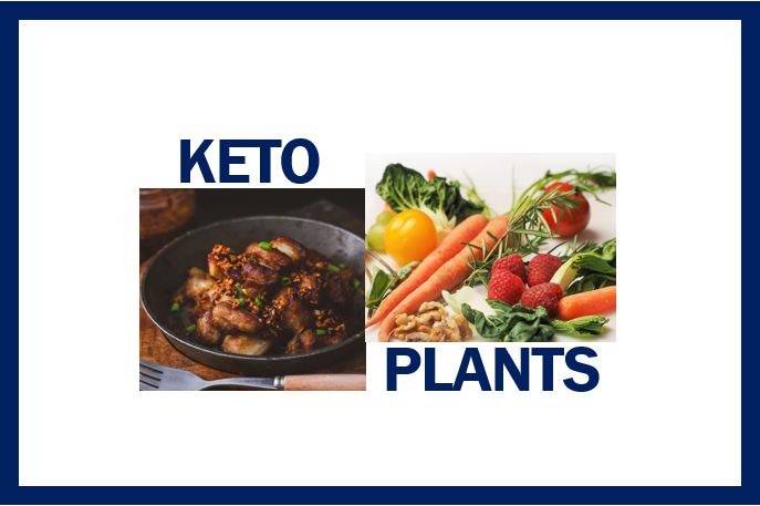 Keto vs plant-based diet thumbnail image