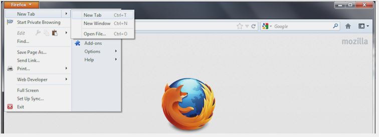 Mozilla 6 uiuiuriuiurijj