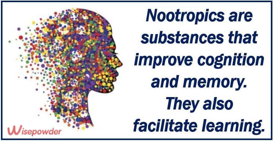 Nootropics article image 3333