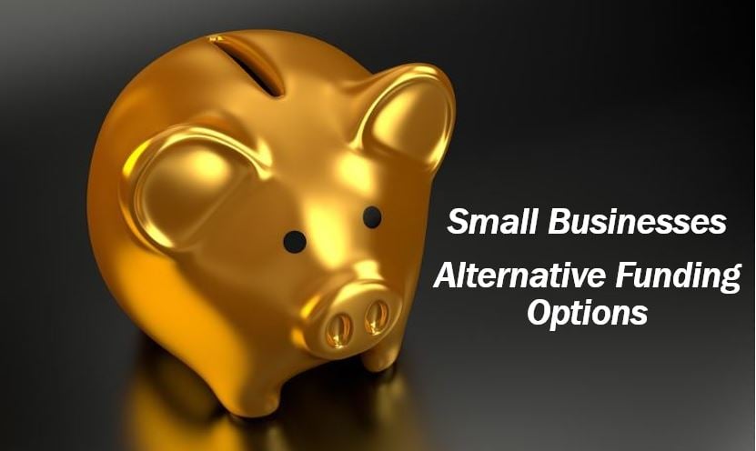 Procuring funding small businesses