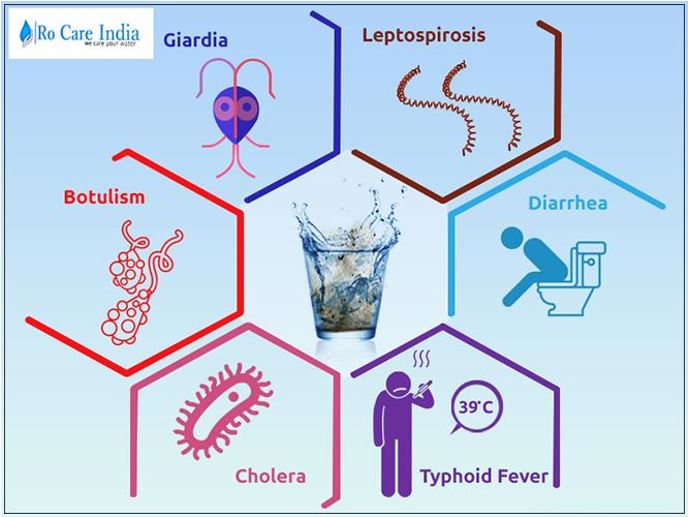 waterborne-disease-transmission-causes-prevention